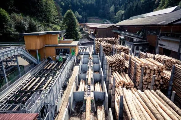 Rundholzplatz der FINKBEINER Holzindustrie in Triberg